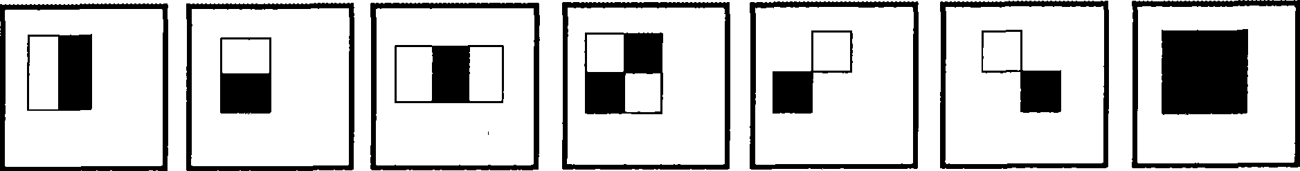 Demographic method and system based on video monitoring