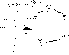 High-speed and long-distance fish shoal detection robot and detection method