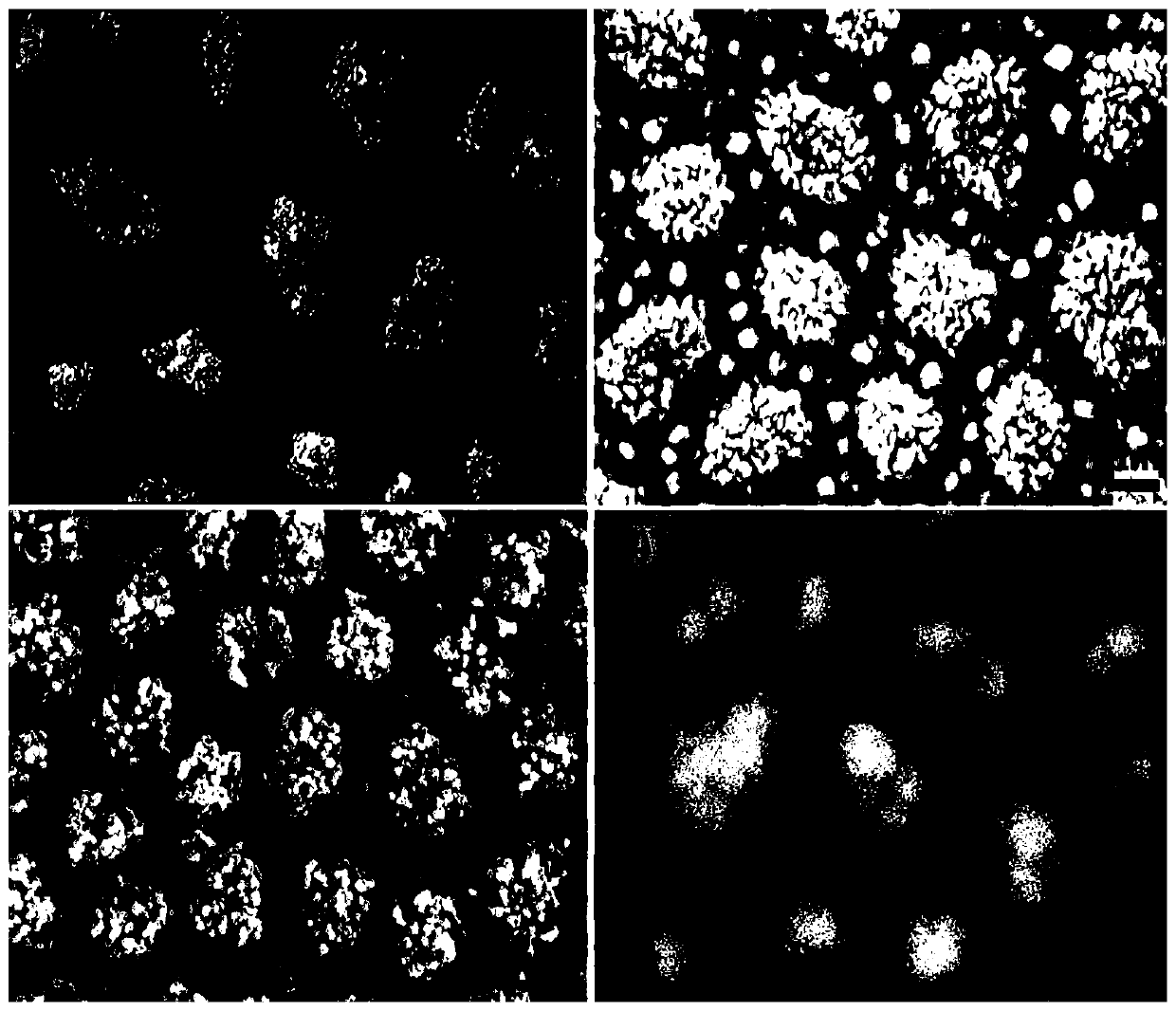 Preparation method of high-performance SERS active substrate ZIF-8/Ag-Au/Si-NPA