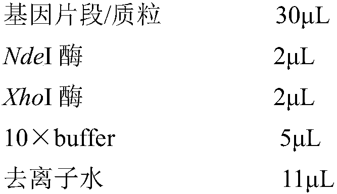 Zearalenone degrading enzyme, gene, preparation method and application thereof, as well as zearalenone degradation method