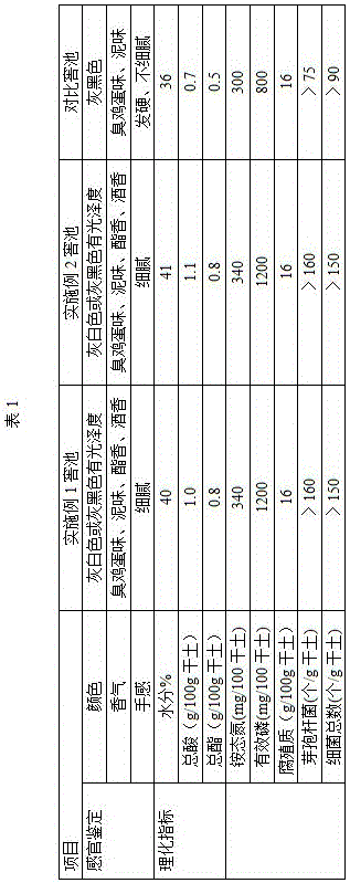 Baijiu fermenting tank and building method