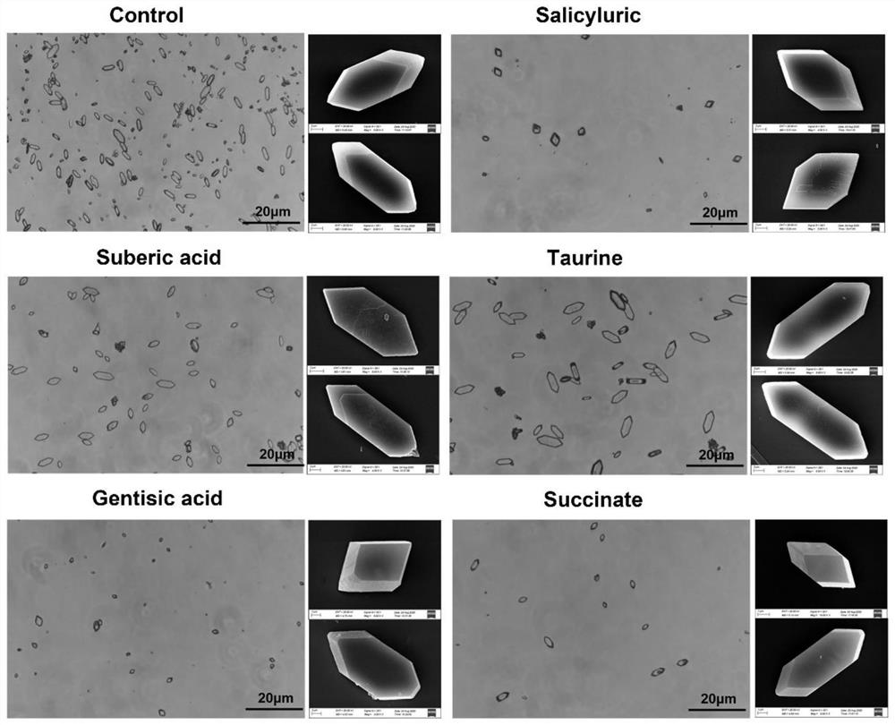 Application of compounds in preparation of medicines for inhibiting formation and/or growth of calculus