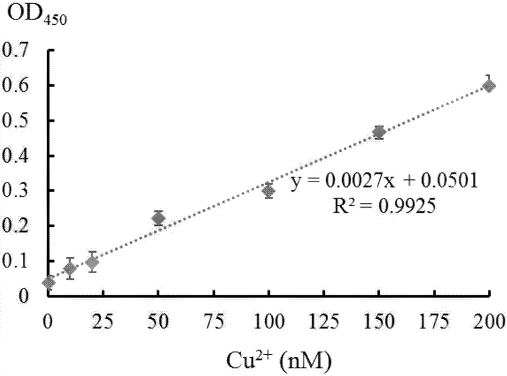 High-salinity-resistant nucleic acid sensor for copper and application thereof