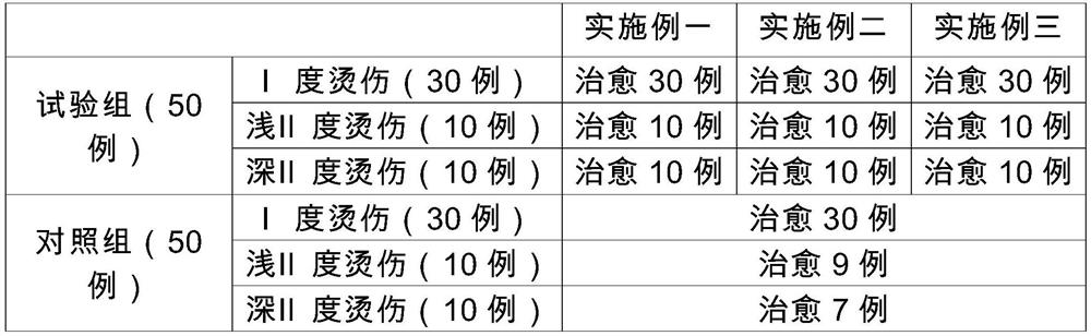 External soaking cold compress liquid for burns and scalds and preparation method thereof