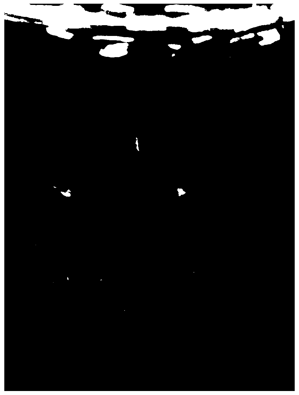 Method for sterile propagation of solanum torvum stocks through test tube micro-cutting