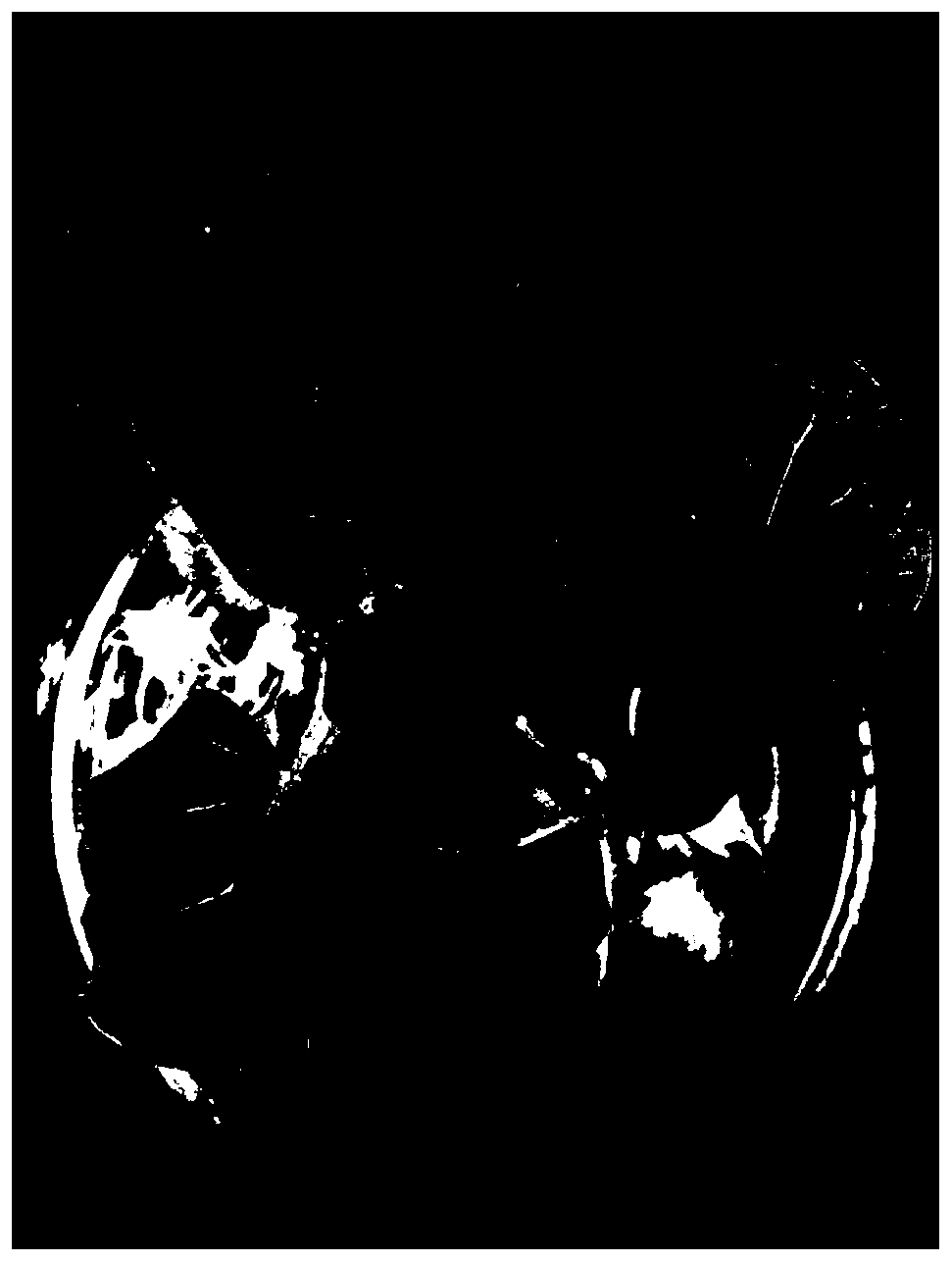 Method for sterile propagation of solanum torvum stocks through test tube micro-cutting