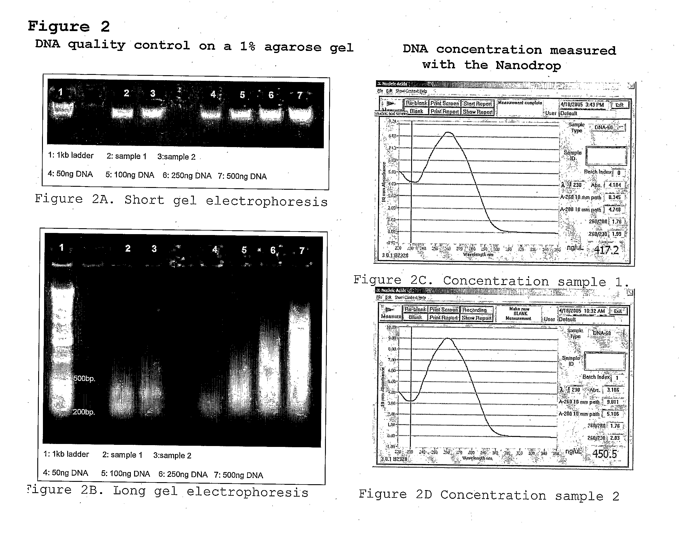 Method for high-throughput aflp-based polymorphism detection