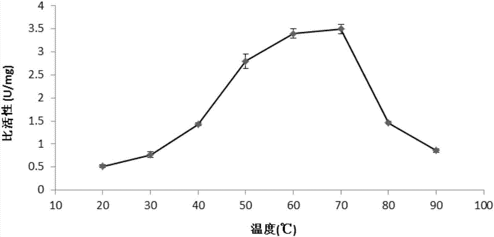 Sialidase gene recombinant expression vector and construction method thereof and sialidase and preparation method thereof