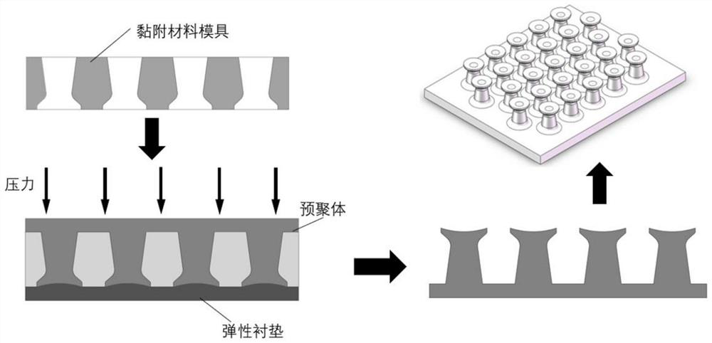 Bionic adhesive material-based limb bone muscle exercise device in microgravity environment