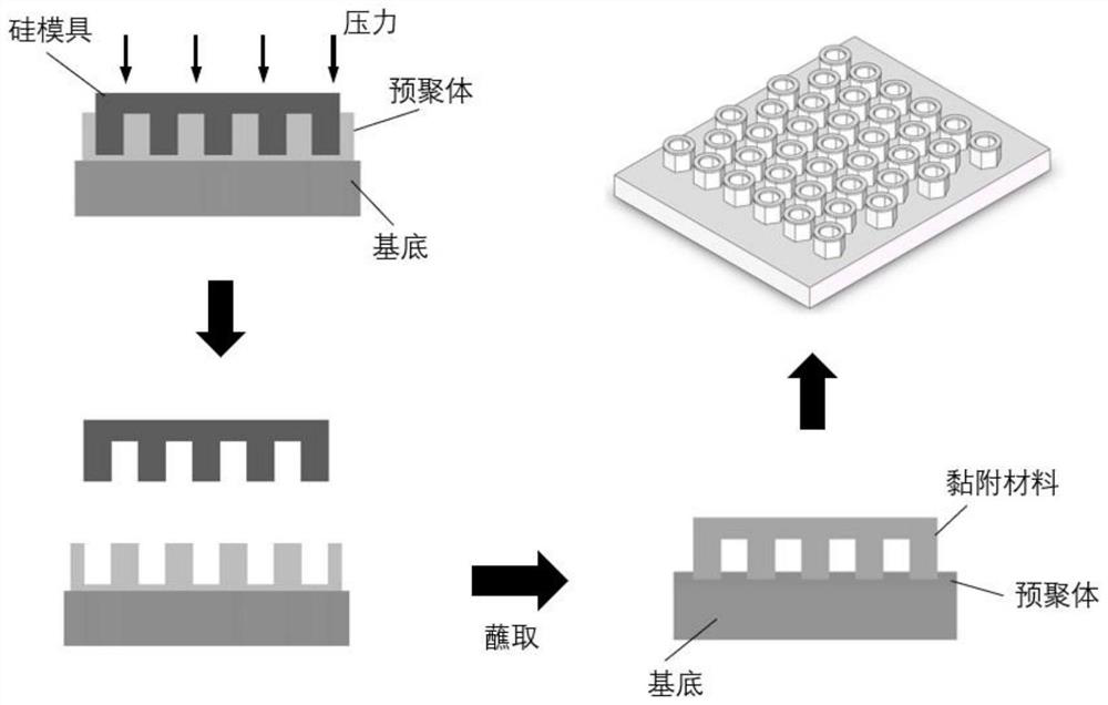 Bionic adhesive material-based limb bone muscle exercise device in microgravity environment