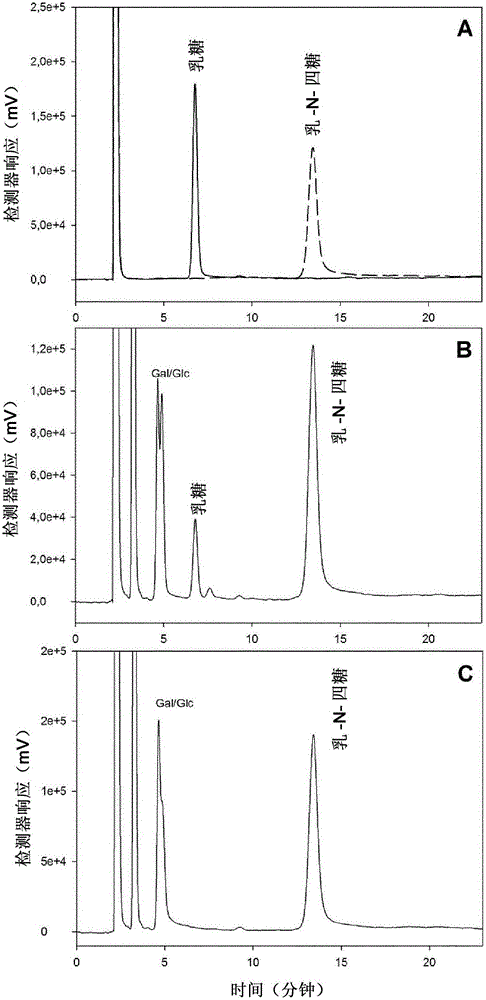 Production of oligosaccharides