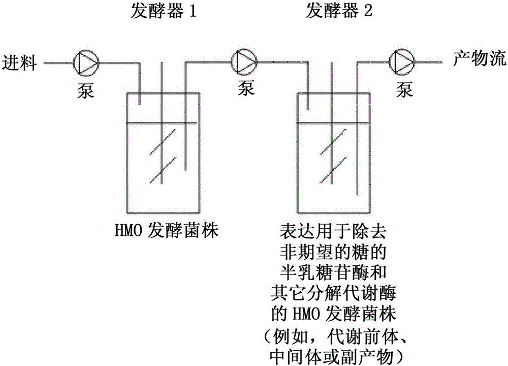 Production of oligosaccharides