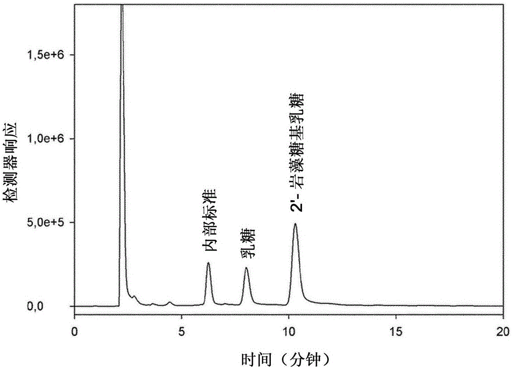 Production of oligosaccharides