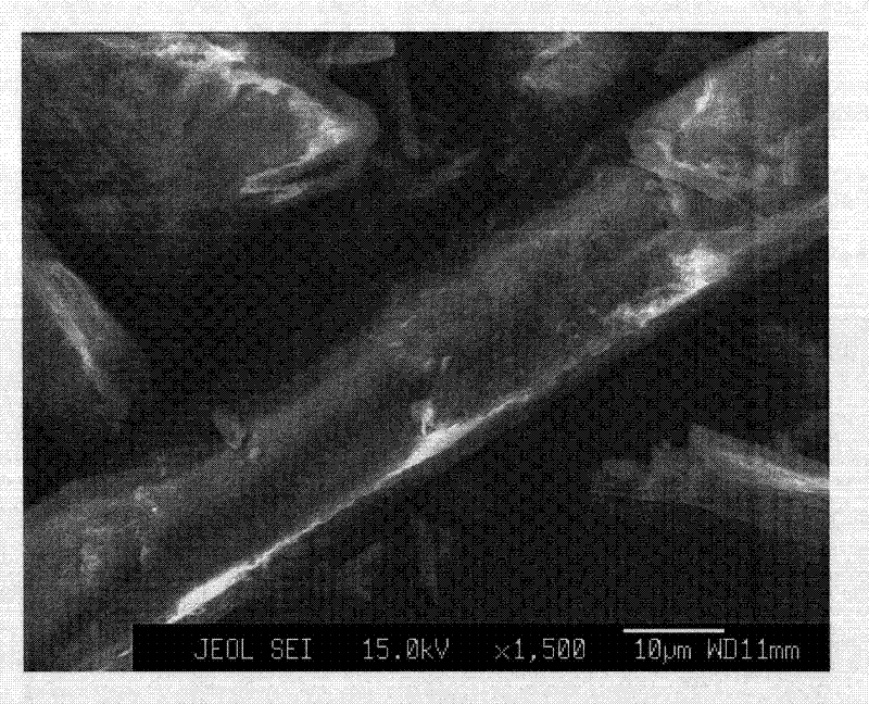 Wollastonite powder surface wet modification method assisted by microwave