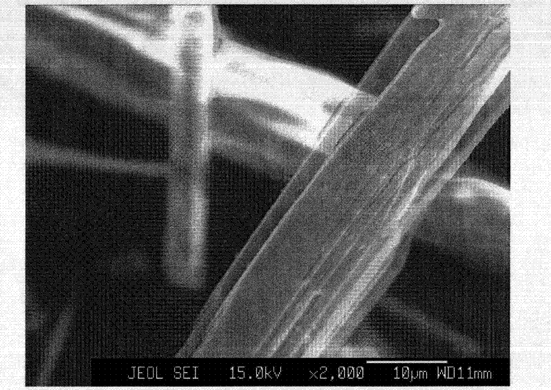 Wollastonite powder surface wet modification method assisted by microwave