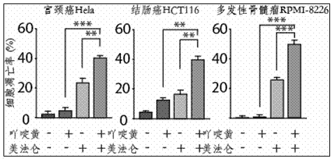 Medicine composition for treating tumors and application thereof