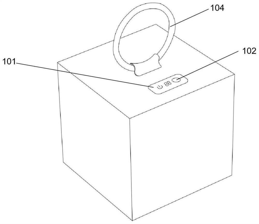 Detachable portable disinfection bag