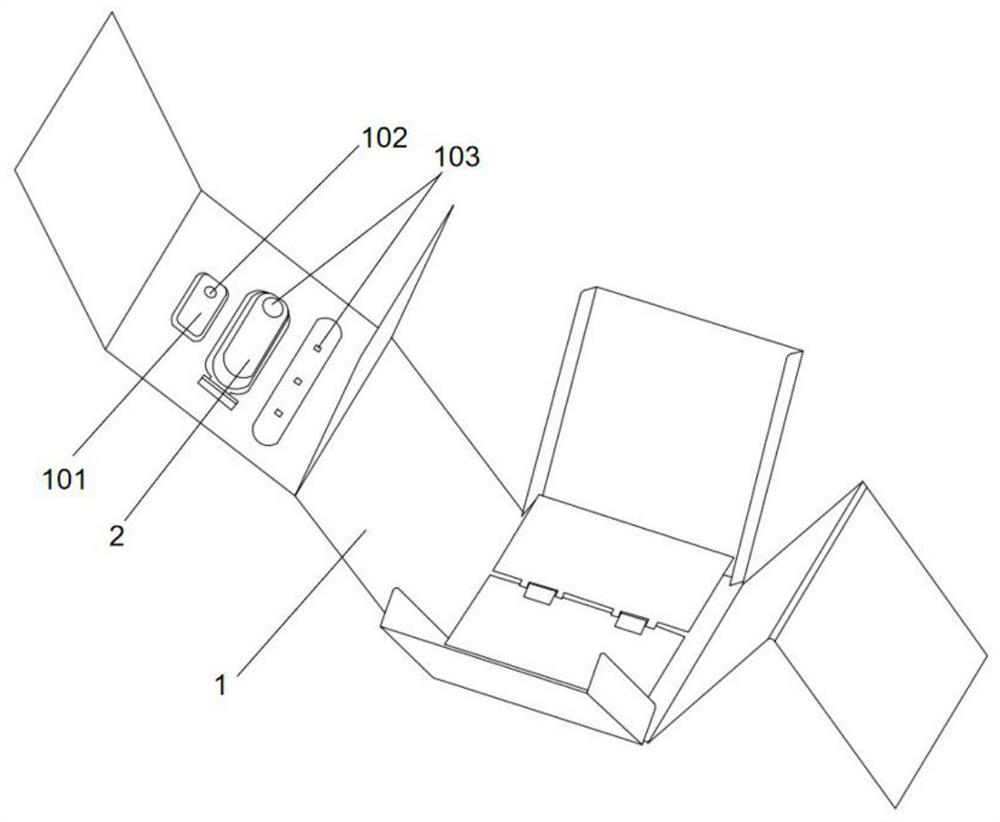 Detachable portable disinfection bag