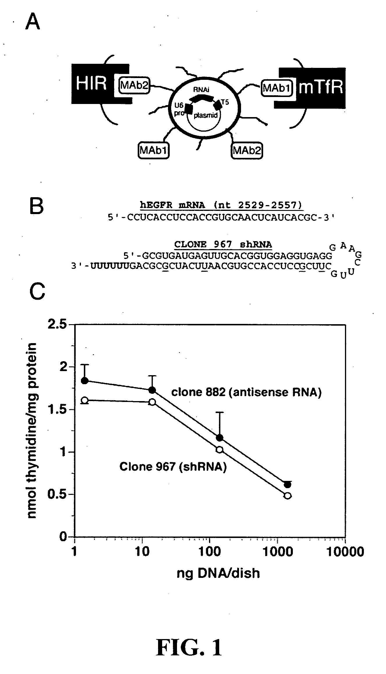 Delivery of genes encoding short hairpin RNA using receptor-specific nanocontainers