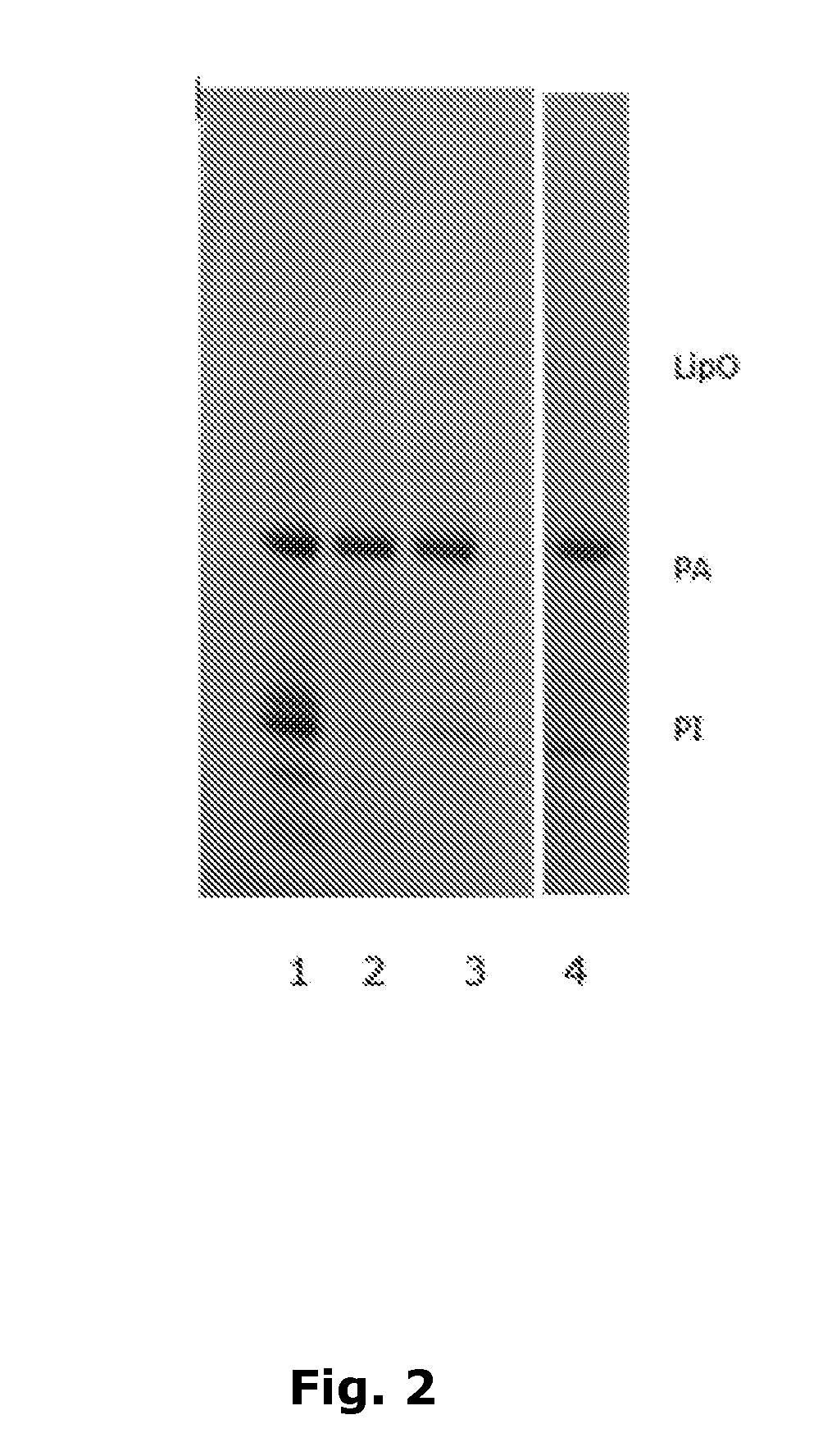 Methods for isolating compounds