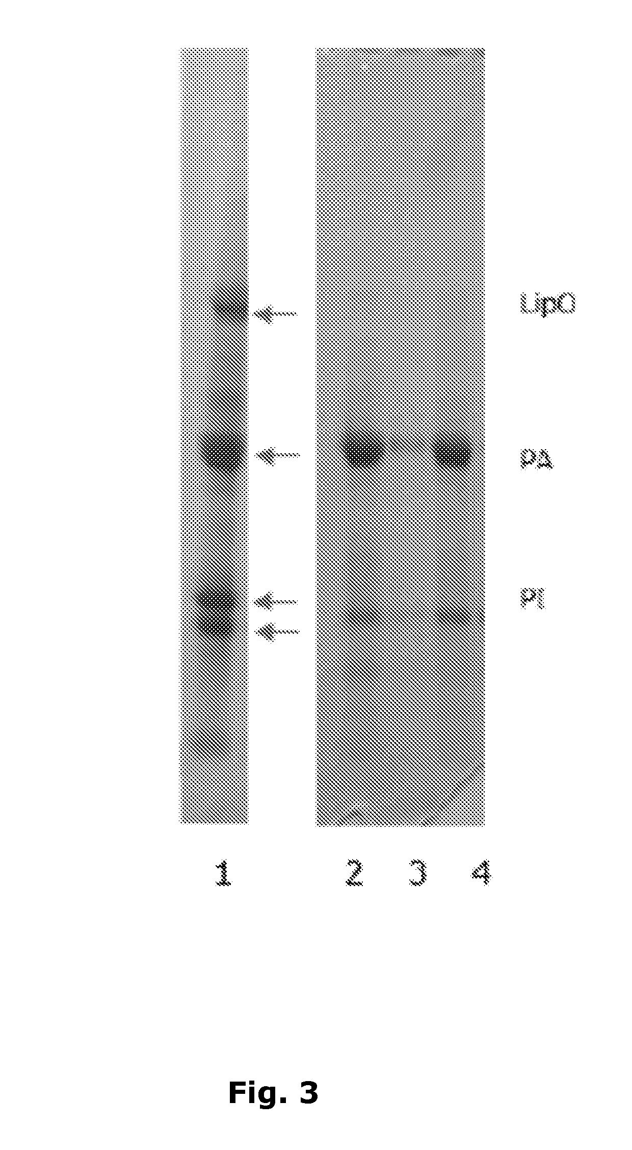 Methods for isolating compounds