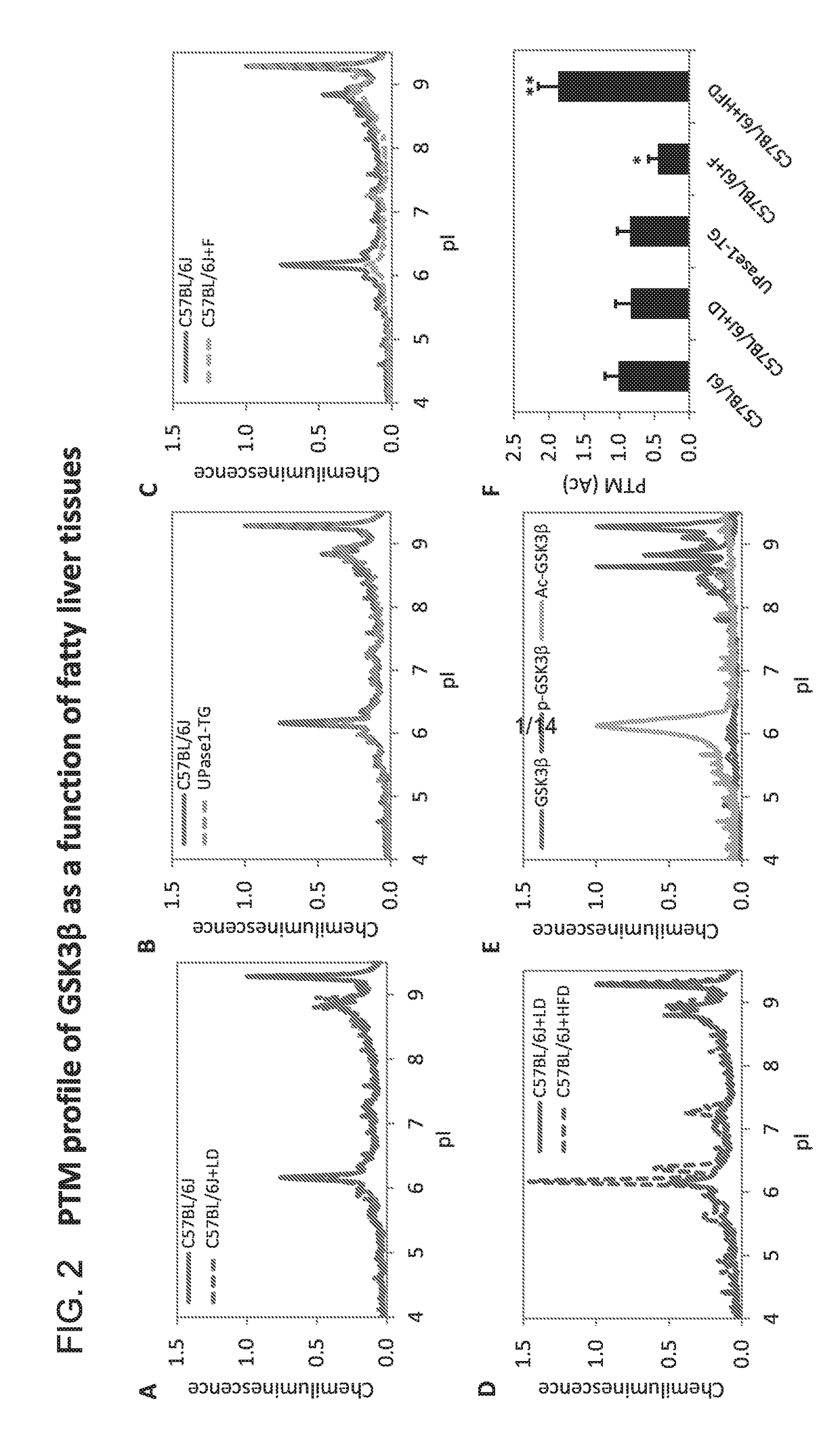 Methods for molecular classification of fatty liver by high-throughput protein post-translational modifications