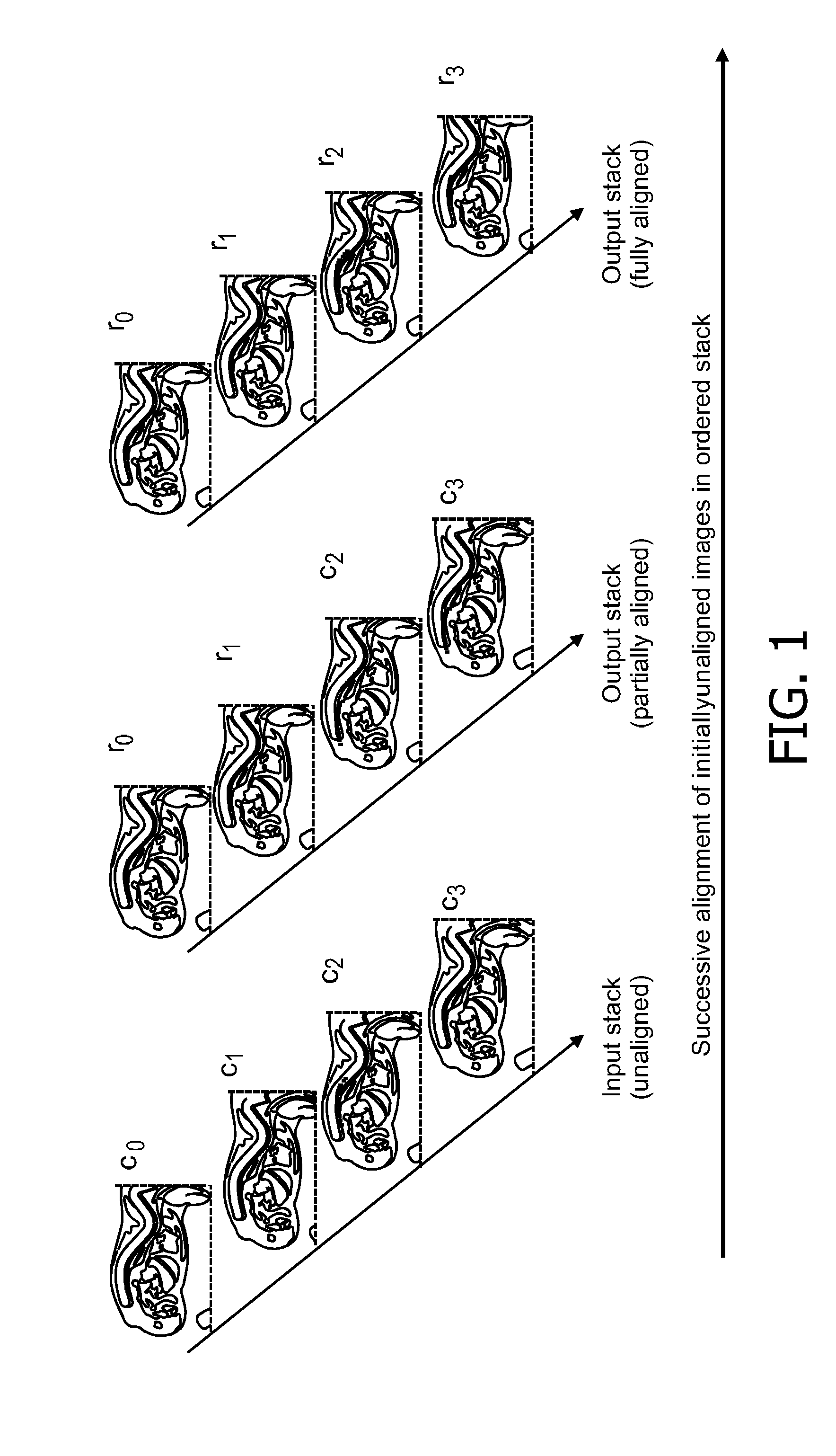 Alignment of an ordered stack of images from a specimen