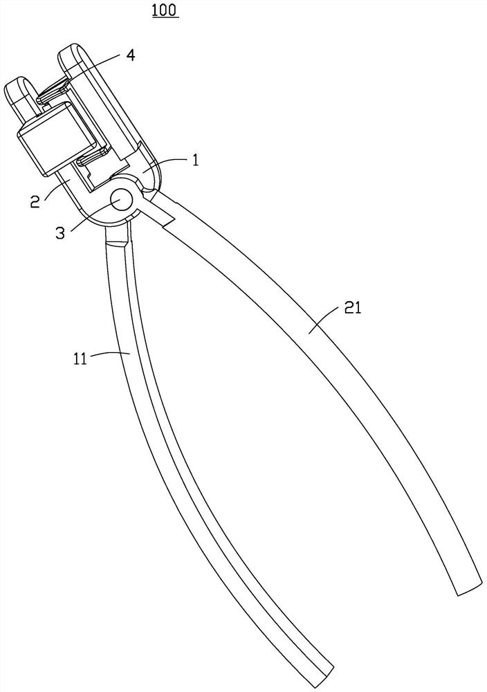 Trachea cutting forceps