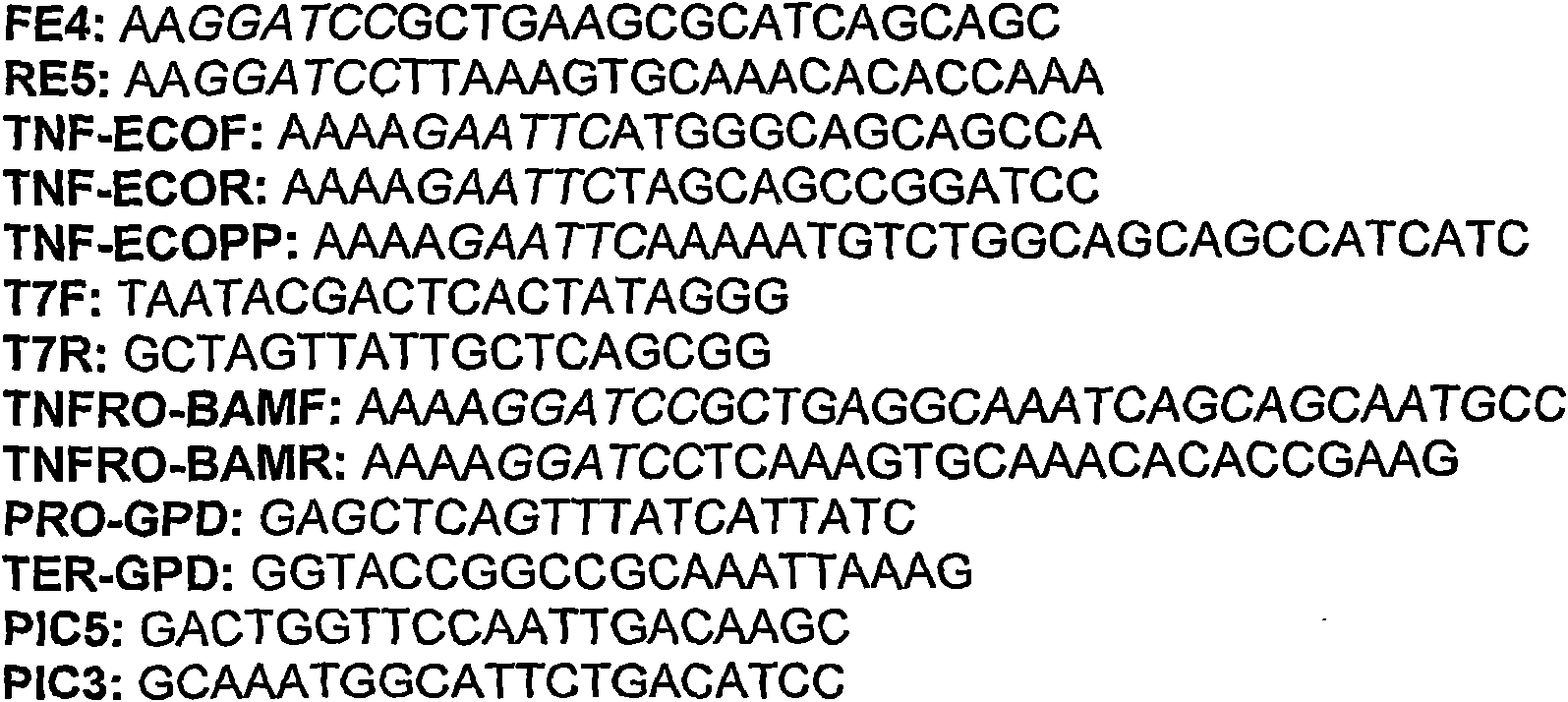 Orally administrable immunostimulant product for aquaculture