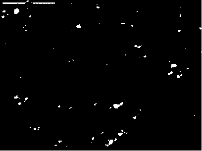 Preparation method of hydrogenation catalyst composition