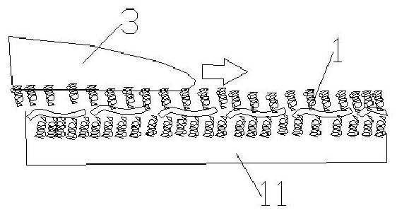 Processing method of cotton knitted fabric with bionic function and post-finishing device for processing