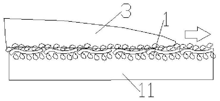 Processing method of cotton knitted fabric with bionic function and post-finishing device for processing