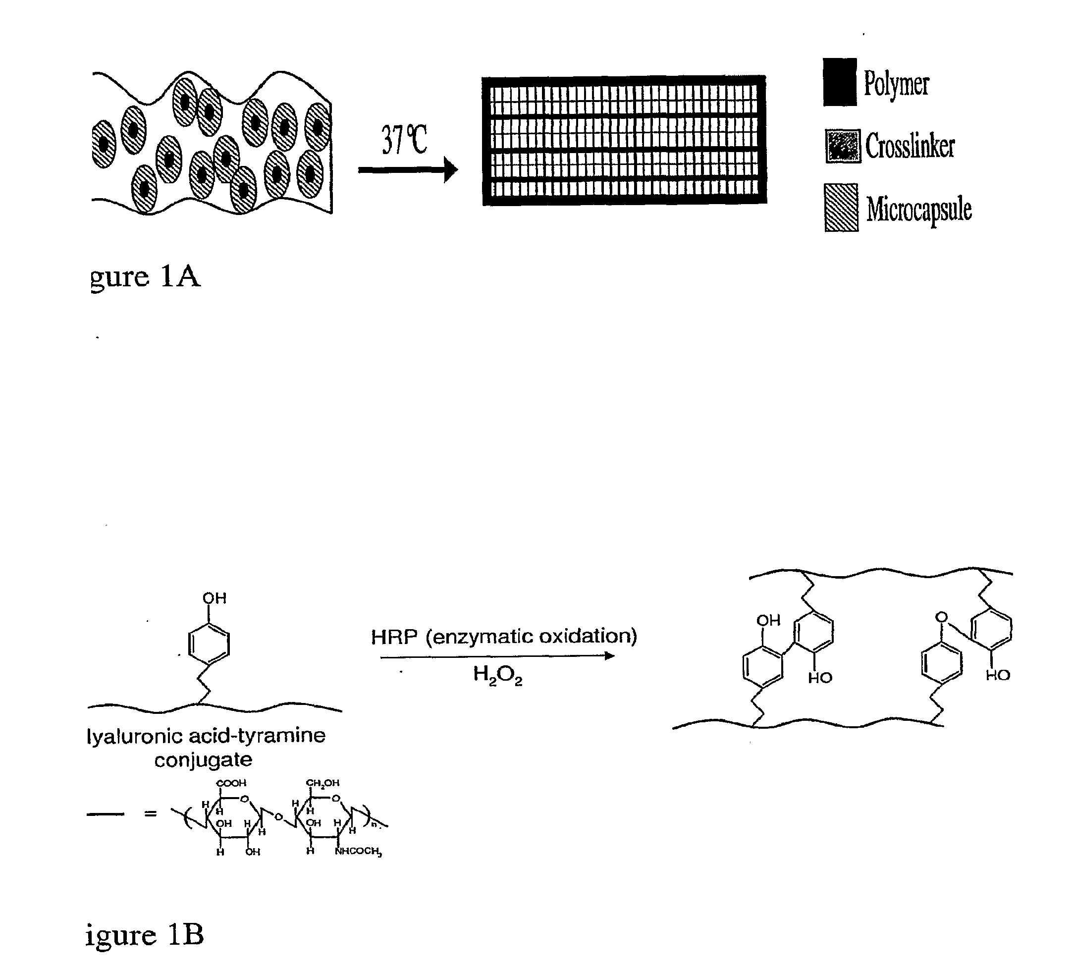 Thermo-responsive materials