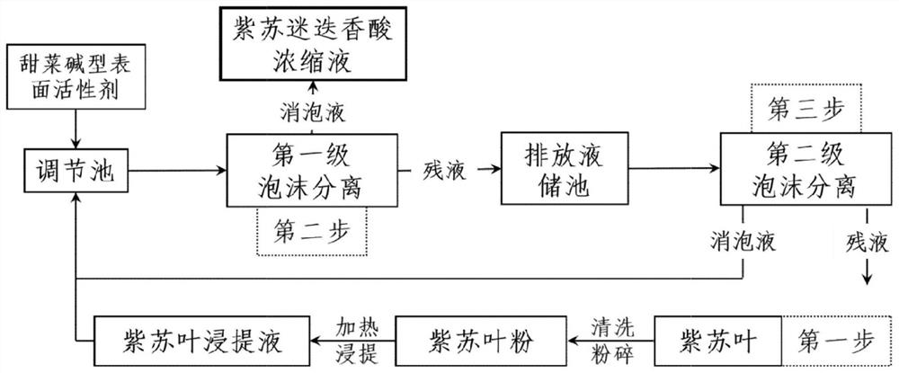 Foam separation method for concentrating and separating rosmarinic acid in perilla leaves