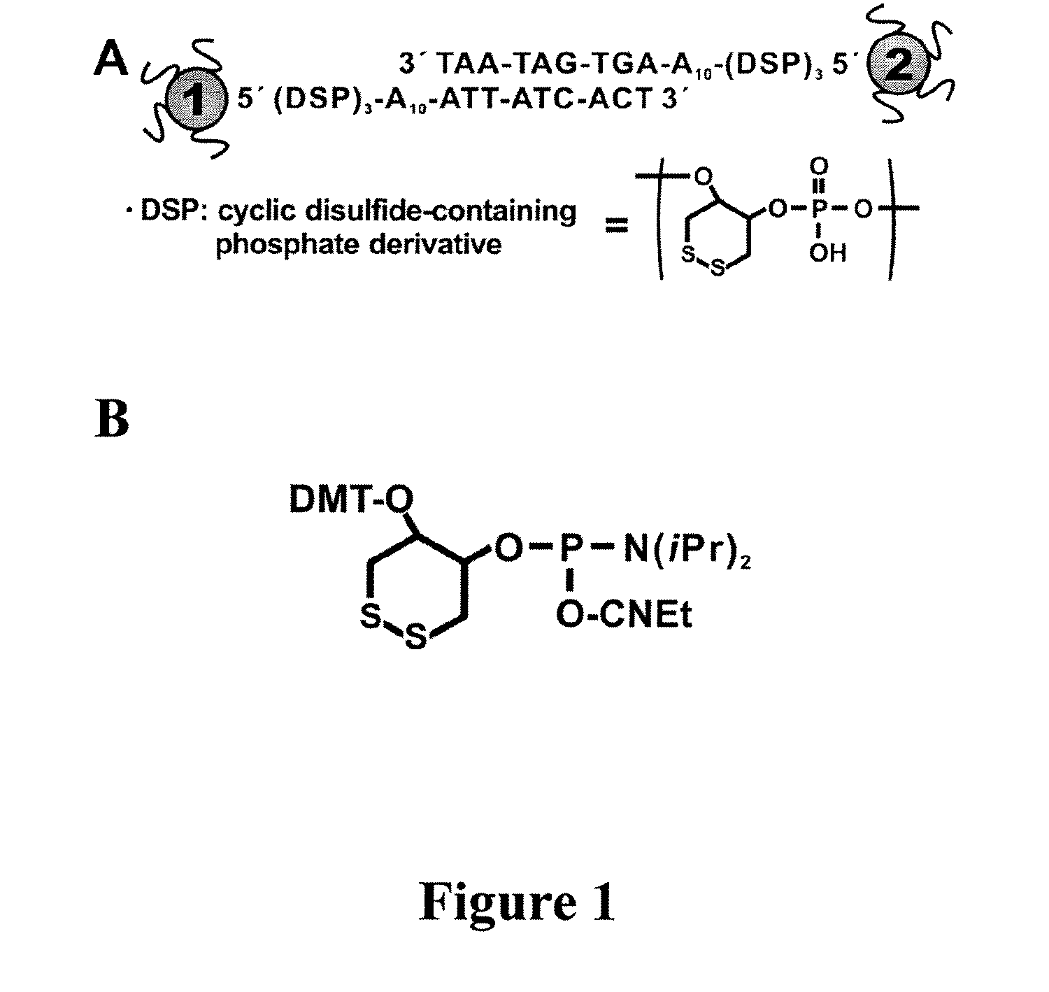 Silver nanoparticle binding agent conjugates based on moieties with triple cyclic disulfide anchoring groups