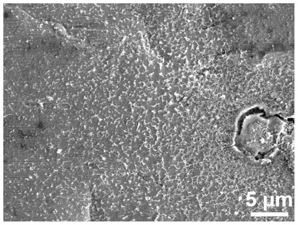 Metal zinc negative electrode protected by chemical passivation layer as well as preparation method and application of metal zinc negative electrode