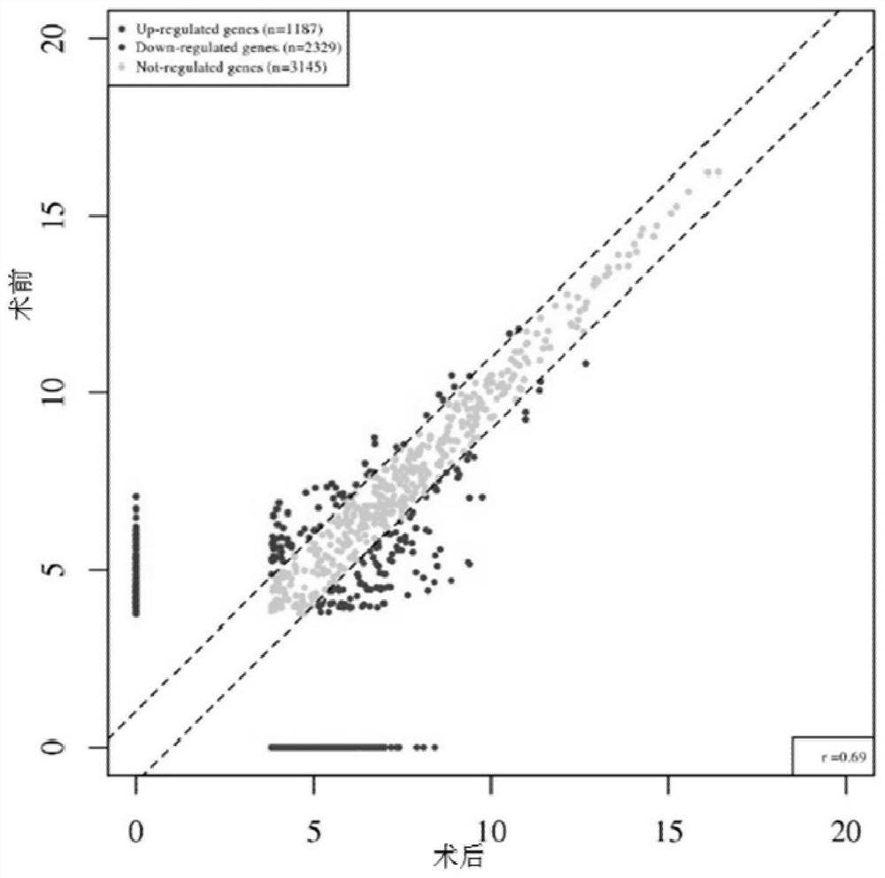 A kind of trf related to nsclc and its application