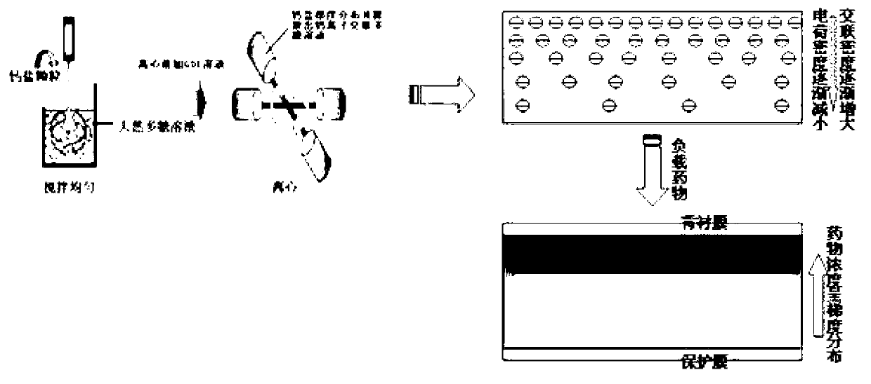 Preparation method of hydrogel patch substrate with gradient drug concentration