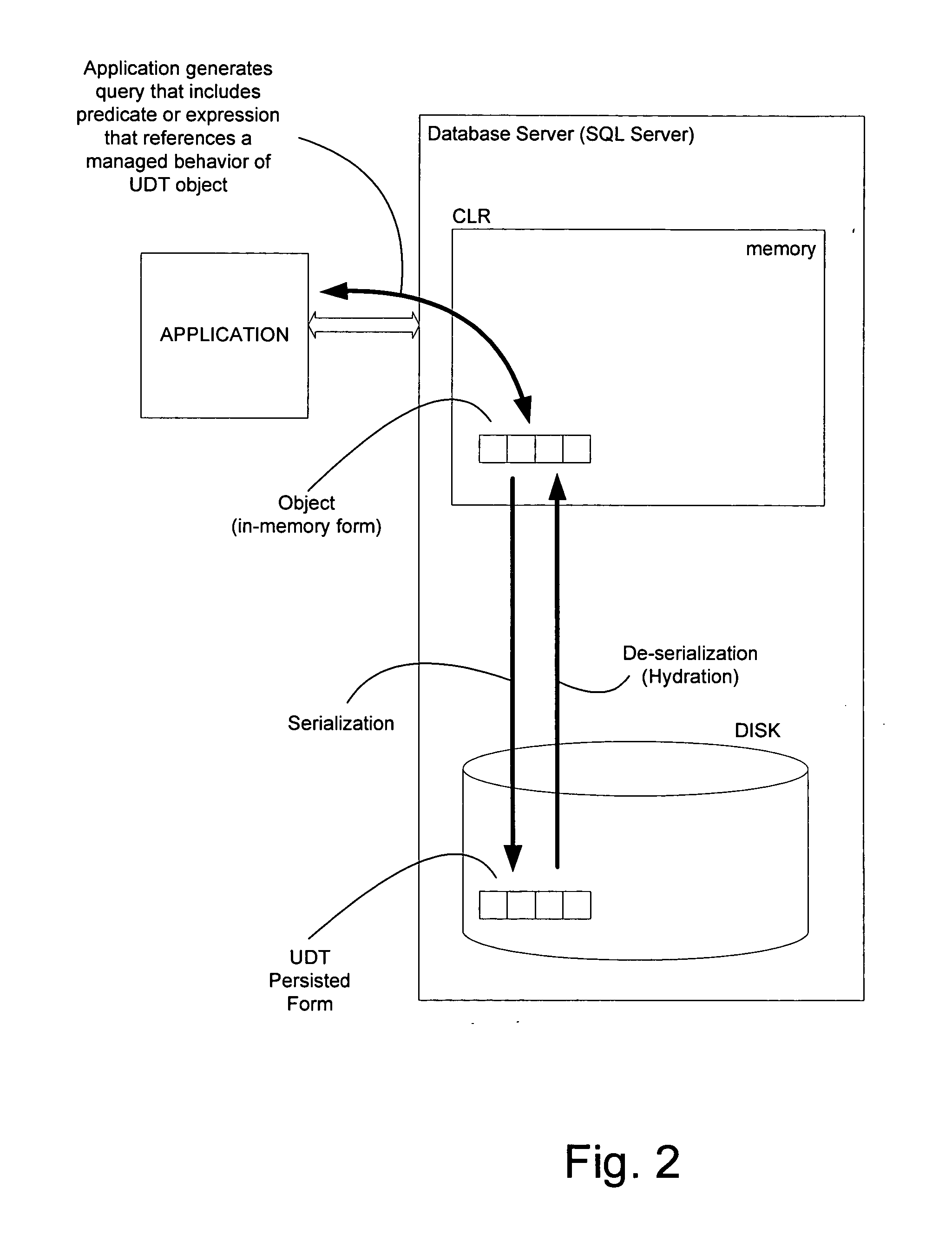 System and method for delayed fetching of designated members of a user defined type