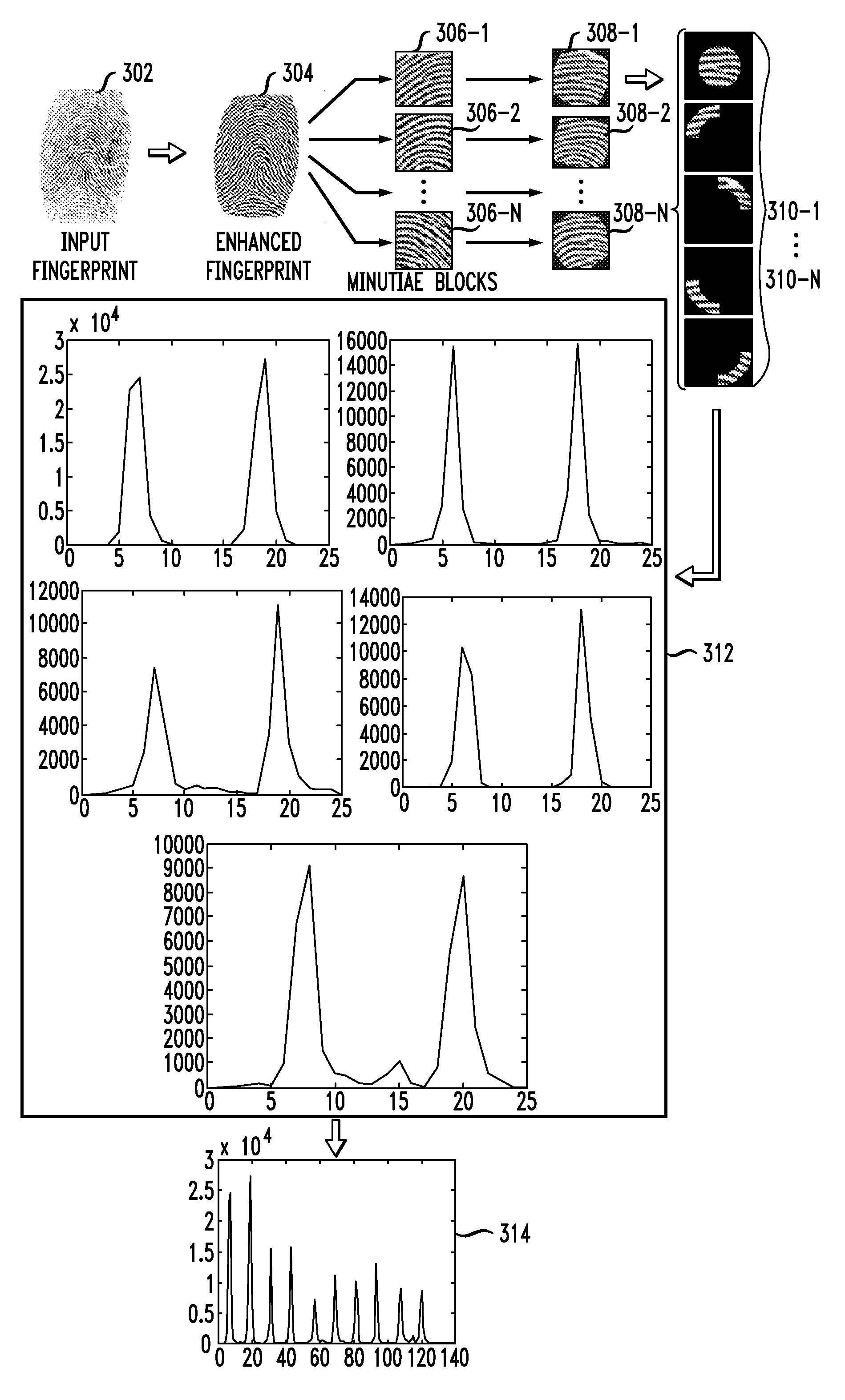 Fingerprint representation using gradient histograms