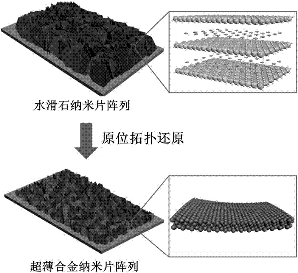 Preparation method for synthesizing ultra-thin metal alloy nanosheet array material by means of hydrotalcite topological transformation