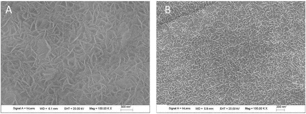 Preparation method for synthesizing ultra-thin metal alloy nanosheet array material by means of hydrotalcite topological transformation