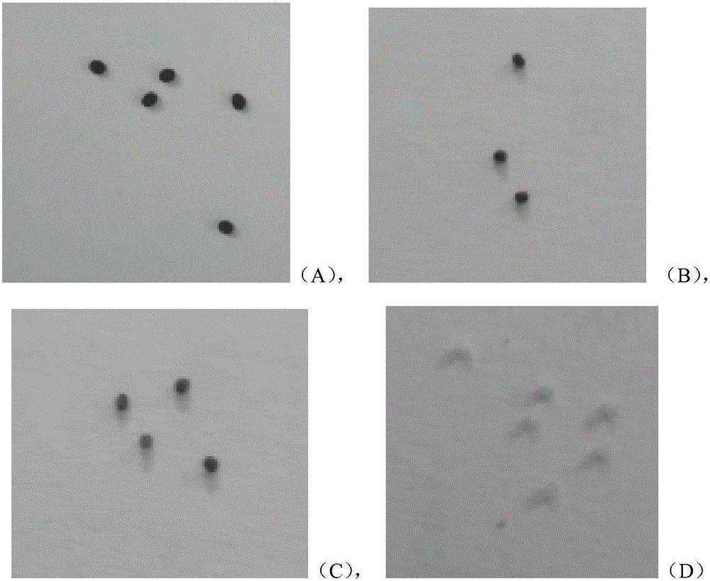 Cordyceps sinensis host hepialus armoricanus egg shell softening and decoloring method and softening and decoloing agent