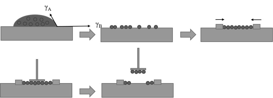 Preparation method of large-area ordered quantum dot film based on Langmuir technology