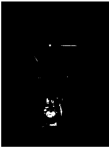 Online ash detection system for clean coal flotation, and online detection method implemented by system