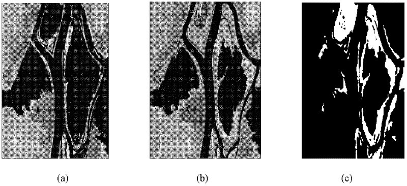 SAR (Synthetic Aperture Radar) image change detection method based on Memetic kernel clustering