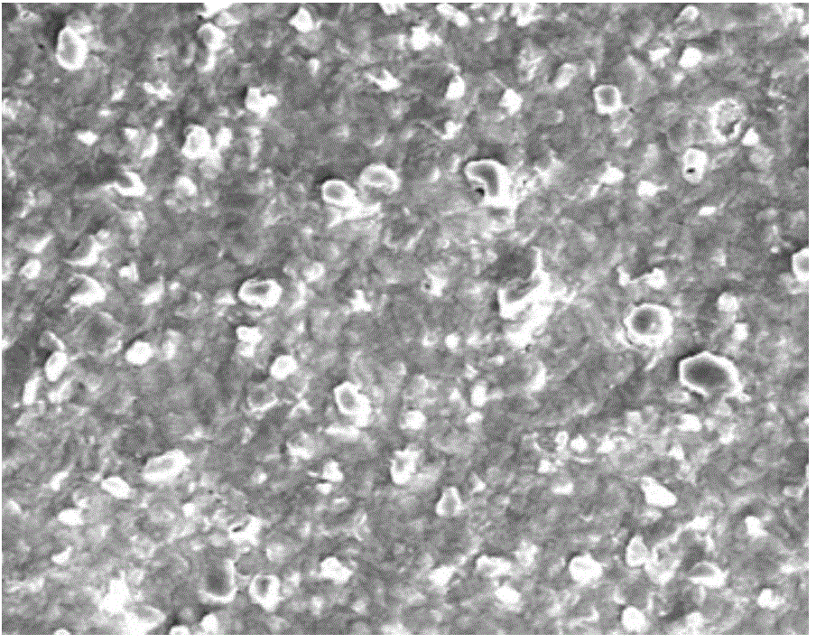 Method for electrochemical etching of surface of copper zinc tin sulfide thin film material without water