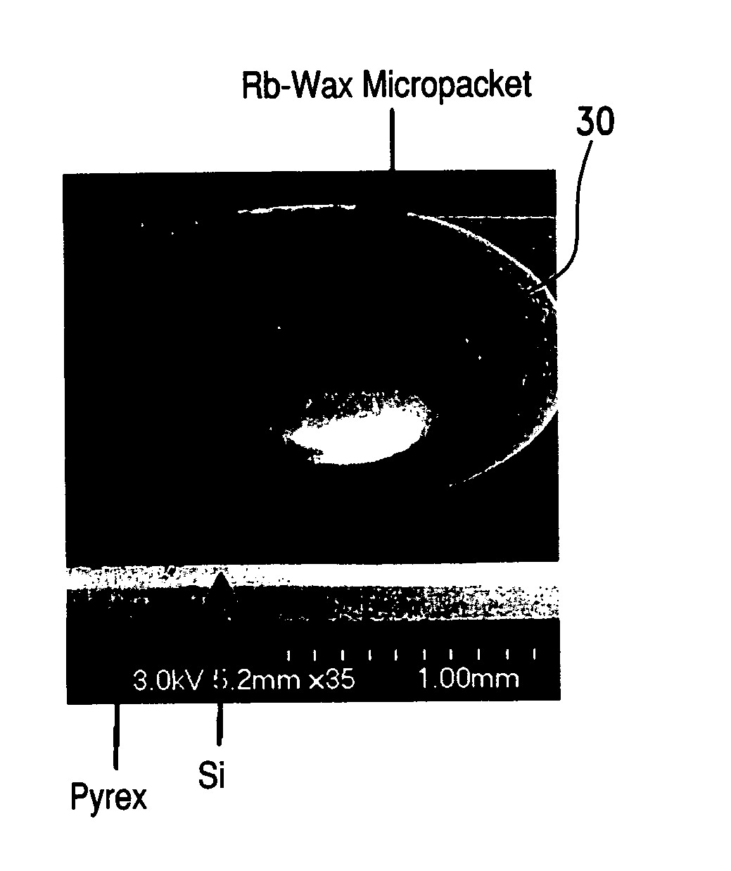 Alkali metal-wax micropackets for alkali metal handling