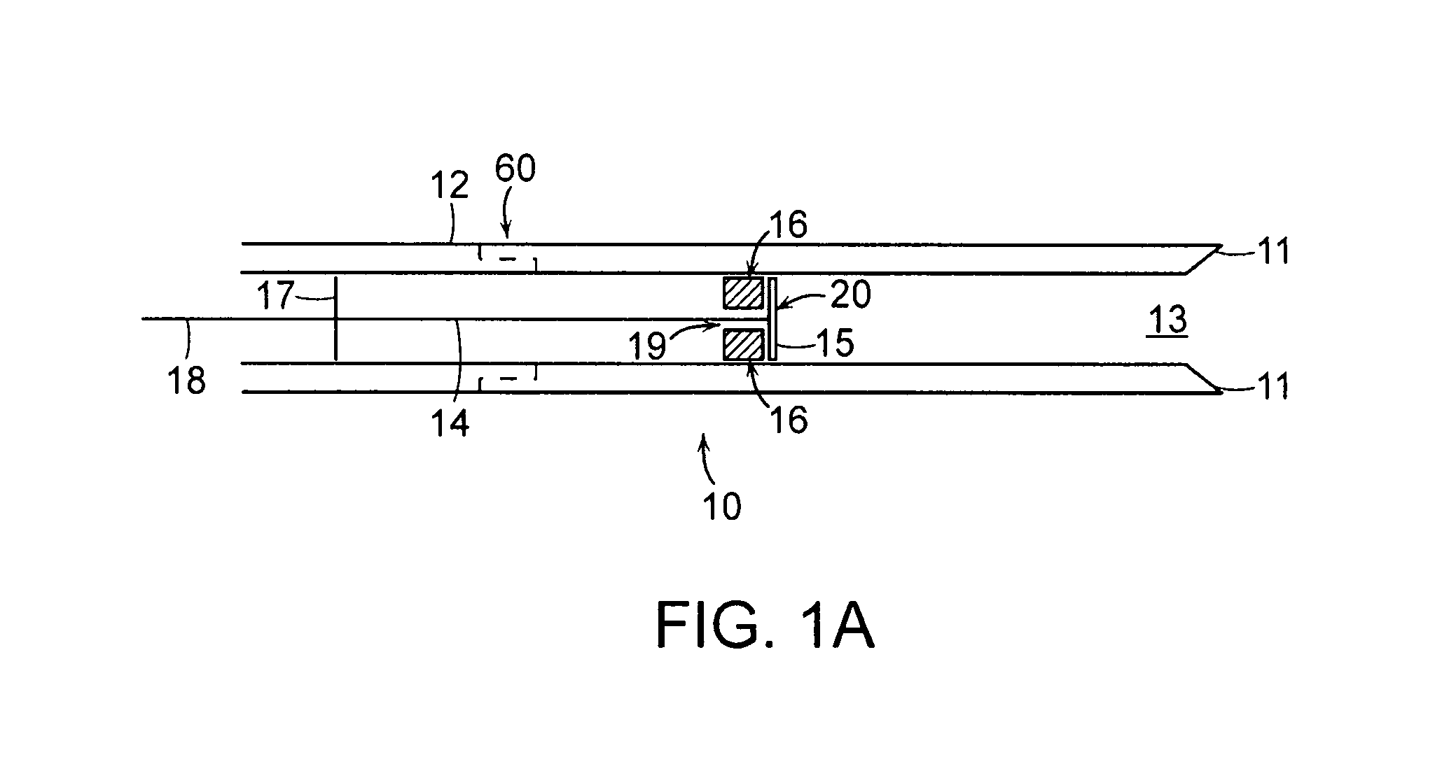 Devices and methods for tissue transplant and regeneration