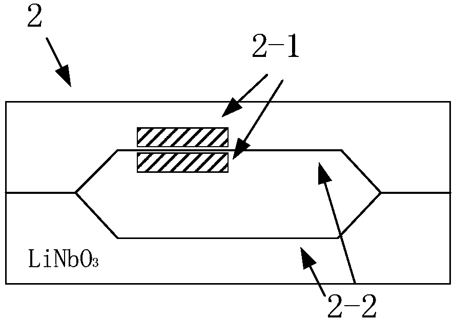 Optical waveguide lightning pulse electric field detection device of suppressing piezoelectric interference and method